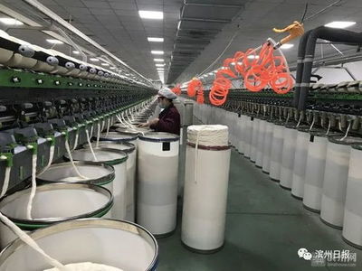 棉花堂家纺工厂网络联系方式与地址查询指南